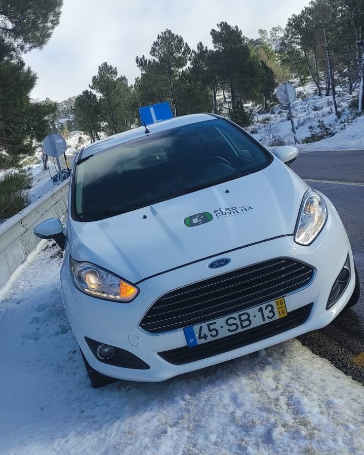 Carro na neve